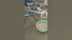 Το μεταγωγικό βίδας μεταφέρει λευκά φασόλια νεφρού#μεταγωγικό